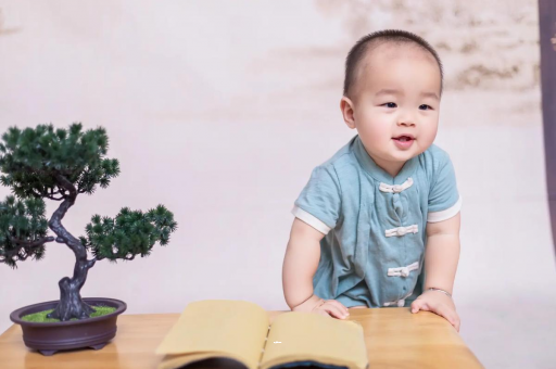 咸阳可爱的企鹅宝宝